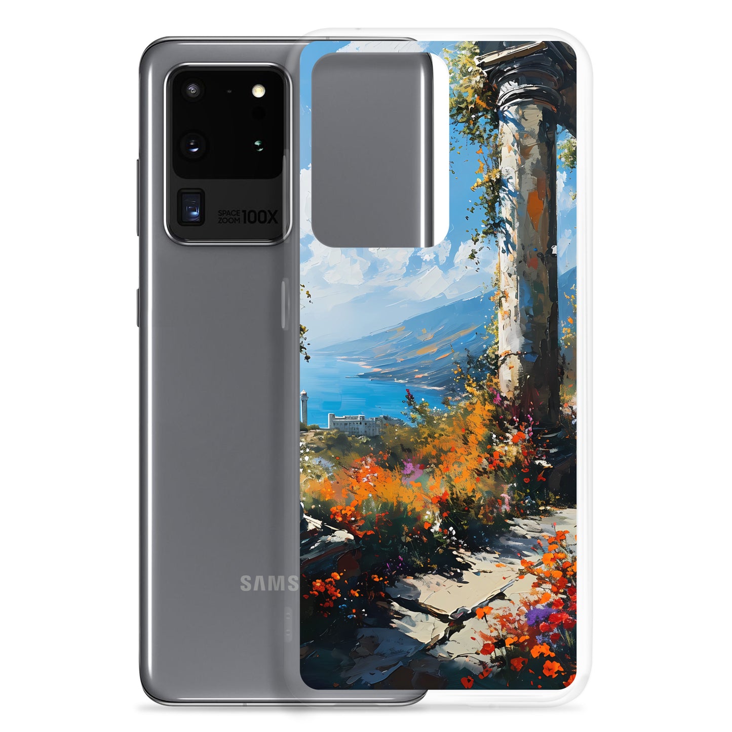 Samsung Case - Heavenly Vista