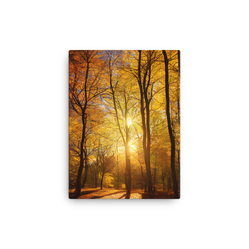 Canvas Wall Art - Landscapes