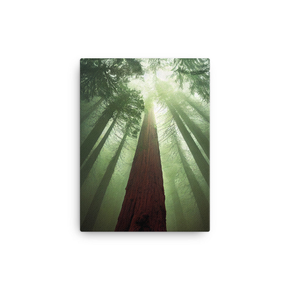 Canvas Wall Art - Landscapes