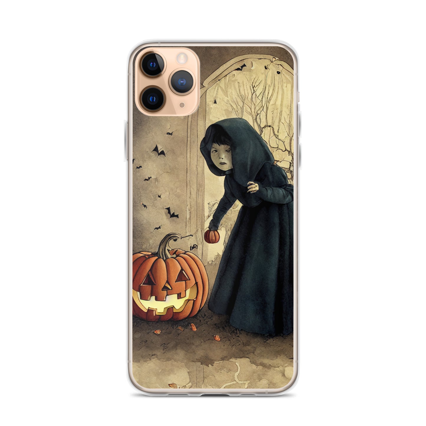 iPhone Case - Is Anybody Home?