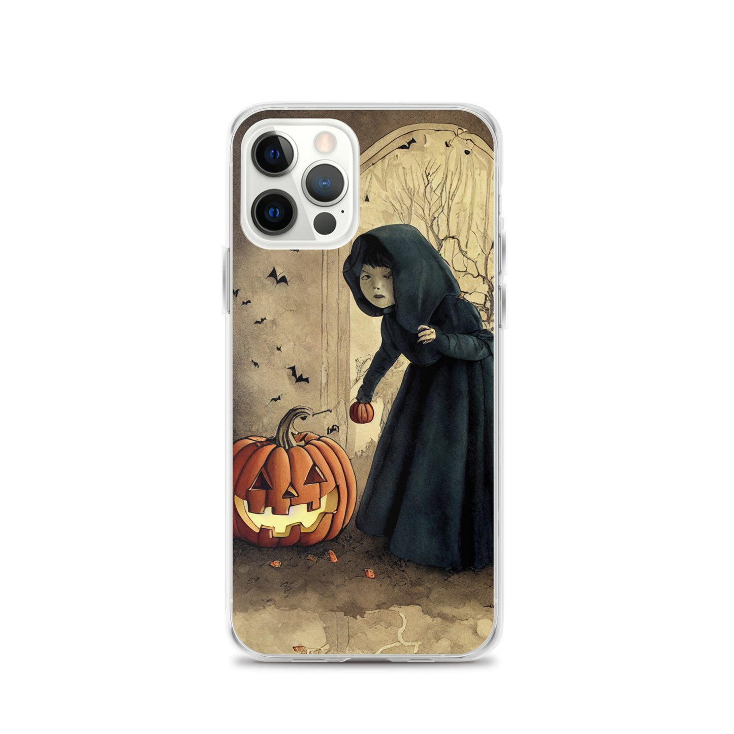 iPhone Case - Is Anybody Home?