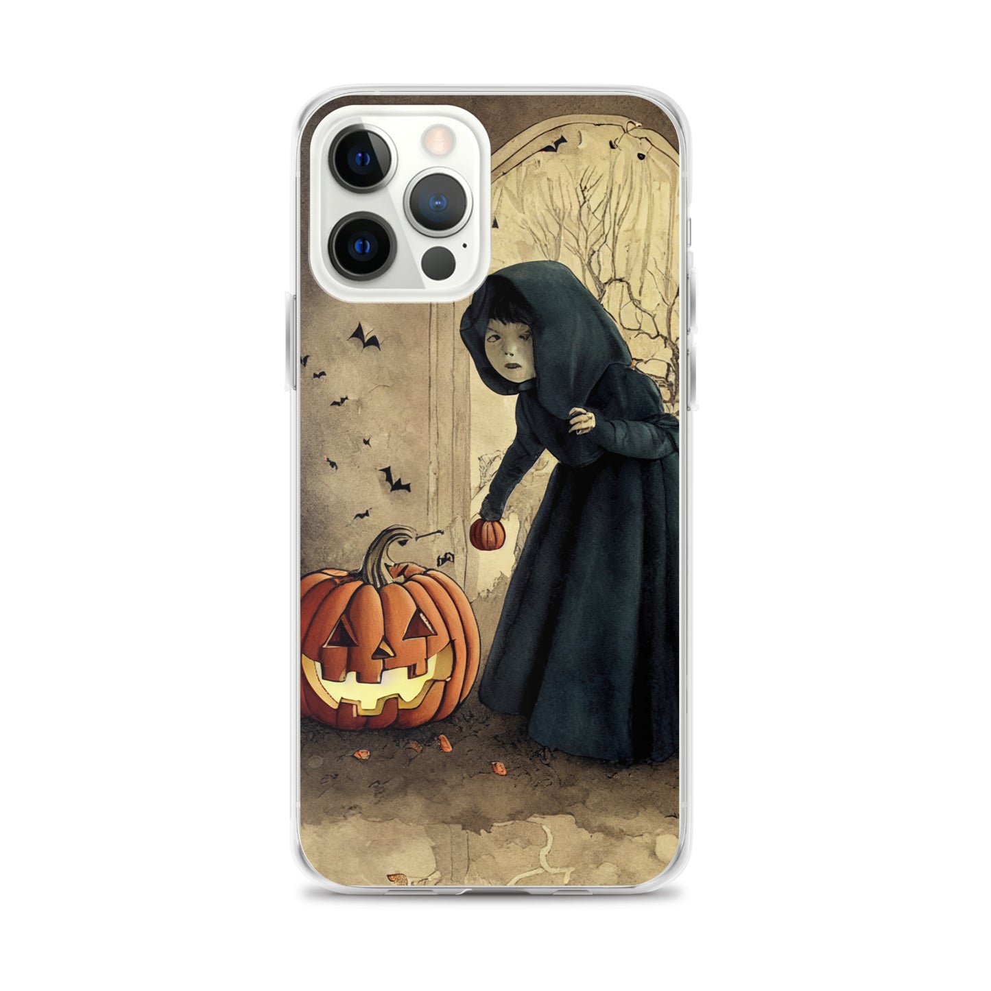 iPhone Case - Is Anybody Home?