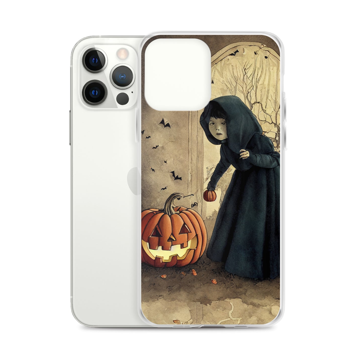 iPhone Case - Is Anybody Home?