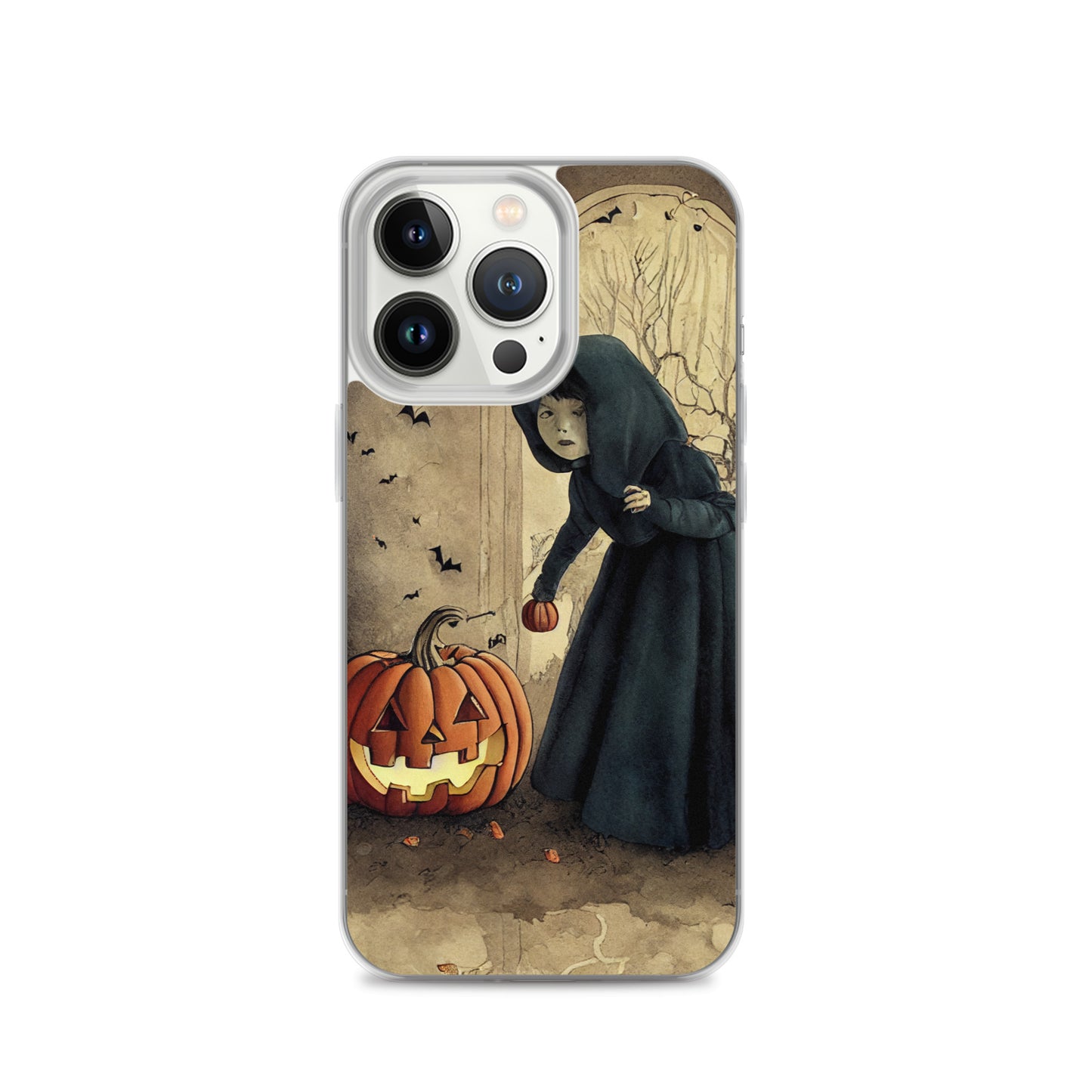 iPhone Case - Is Anybody Home?