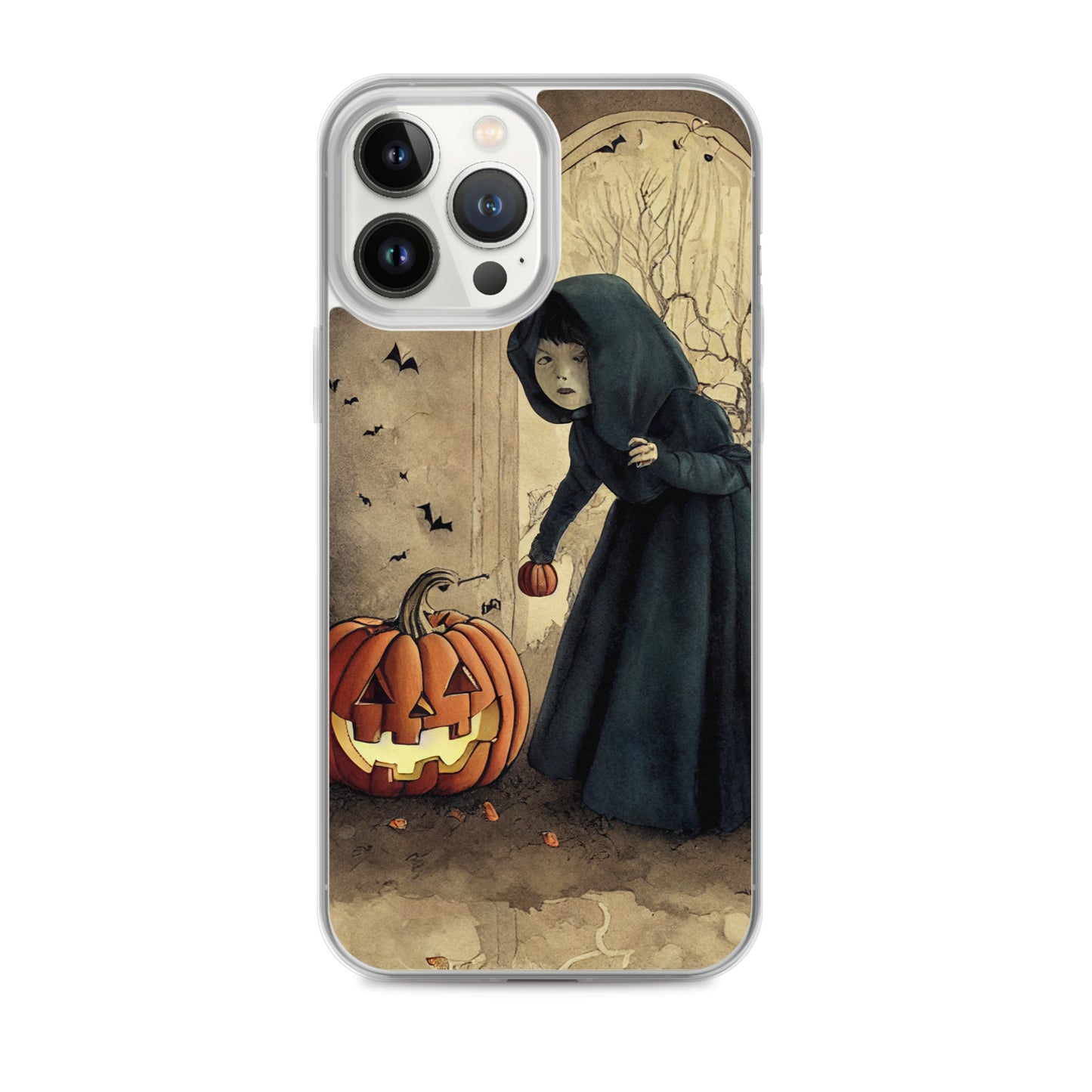 iPhone Case - Is Anybody Home?